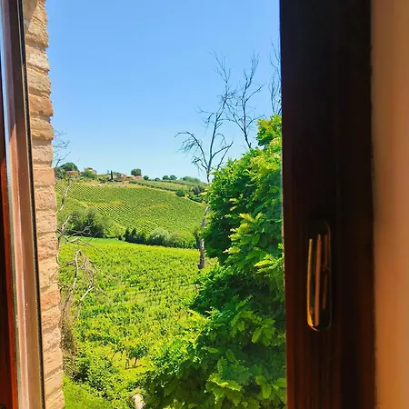 Nel Vigneto 3* Castelplanio