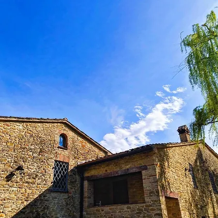 Nel Vigneto 3*